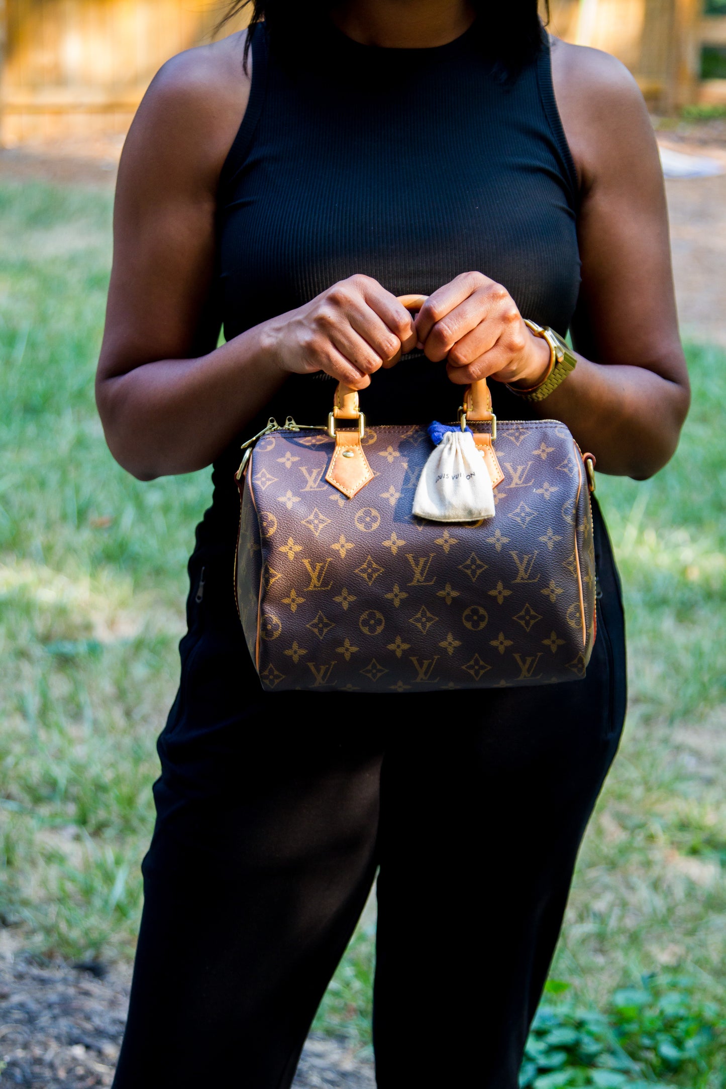LOUIS VUITTON MONOGRAM CANVAS SPEEDY 20 TOP HANDLE BAG